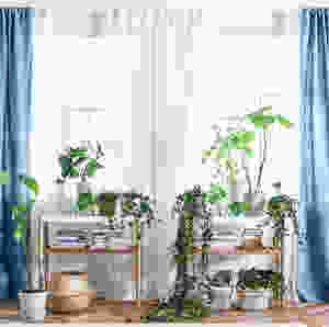 @ikeausa