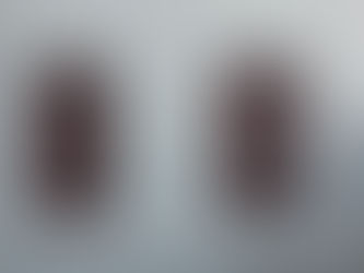 Poesia na janela do meu quarto