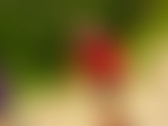 30th July 2019 - Team PTC at it again...