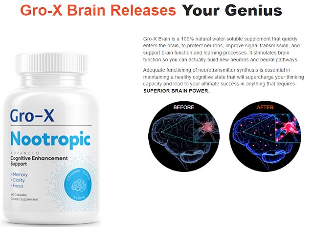 Gro-X Nootropic Reviews: Brain Support Formula, Work & Price!! content media