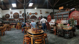 '' Wine not! '' Our team tasting wines!