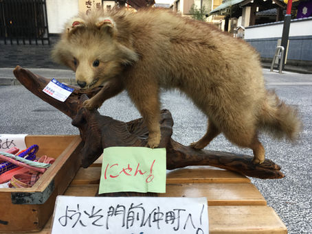 特に何にも無くても