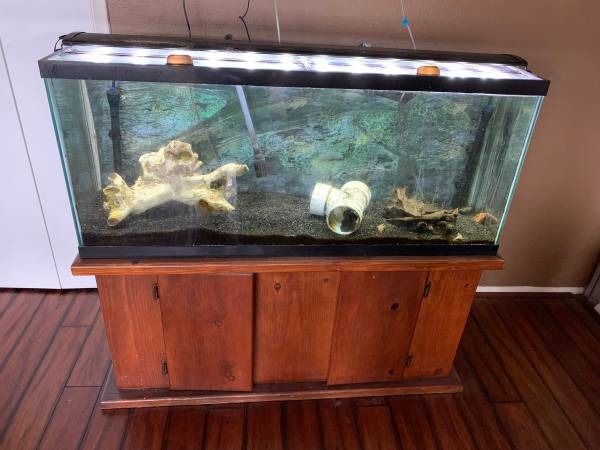 Free 55 gallon aquarium with stand (4 S Van Dorn Street) content media