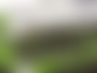 Le Shizen-Sport-Truck® au service des établissements scolaires et universitaires