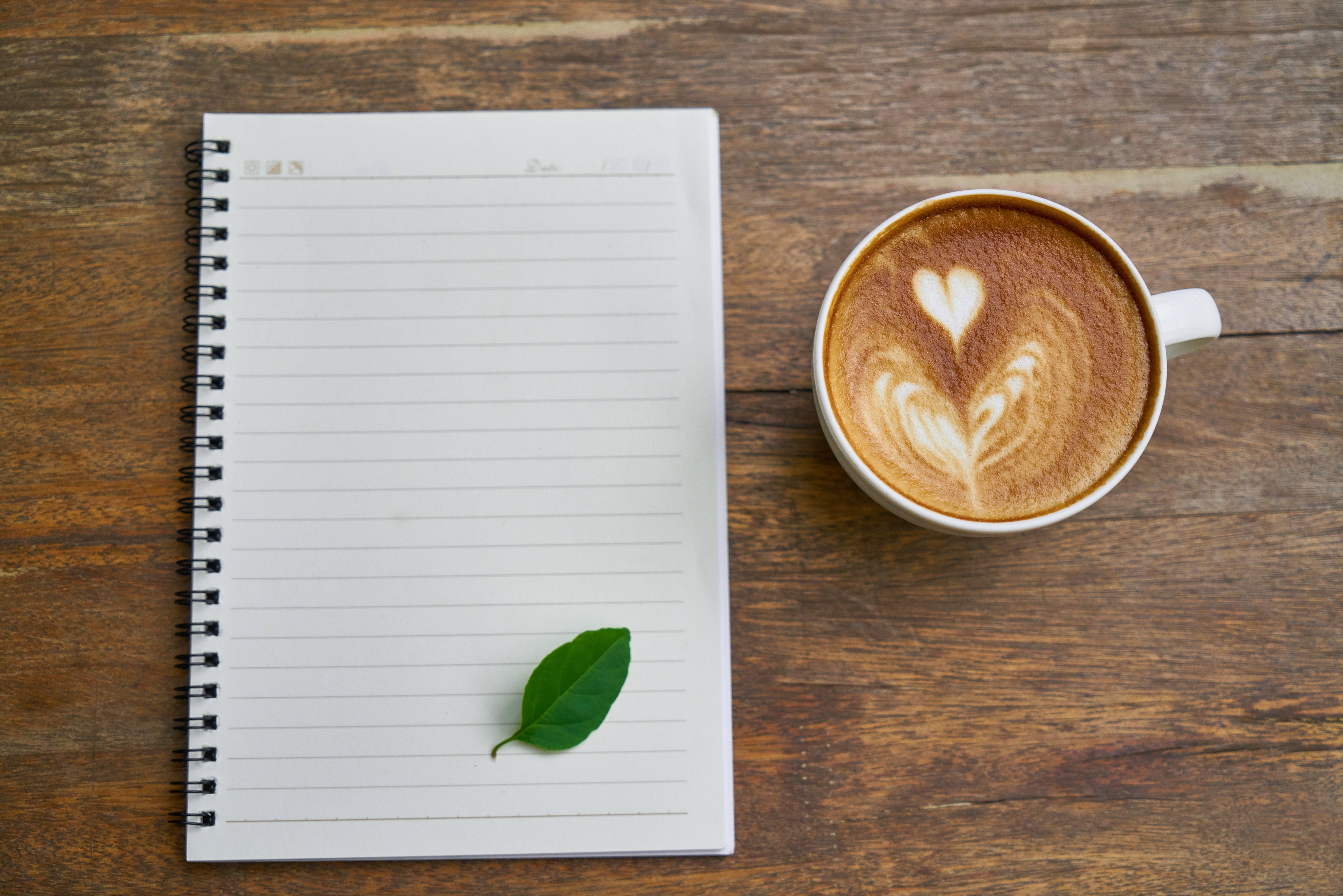 To outline or not to outline, that is the question! content media