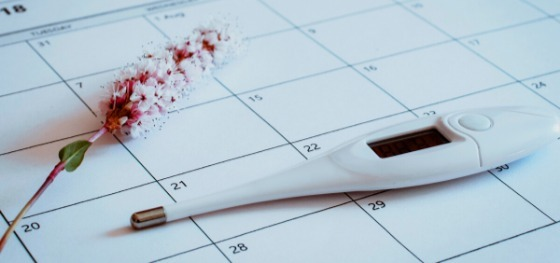 Thermometer calendar
