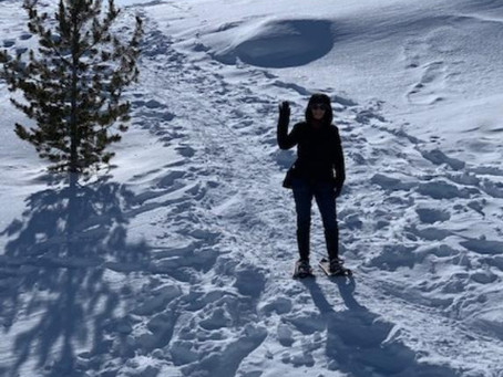 The Skiing Surgeons