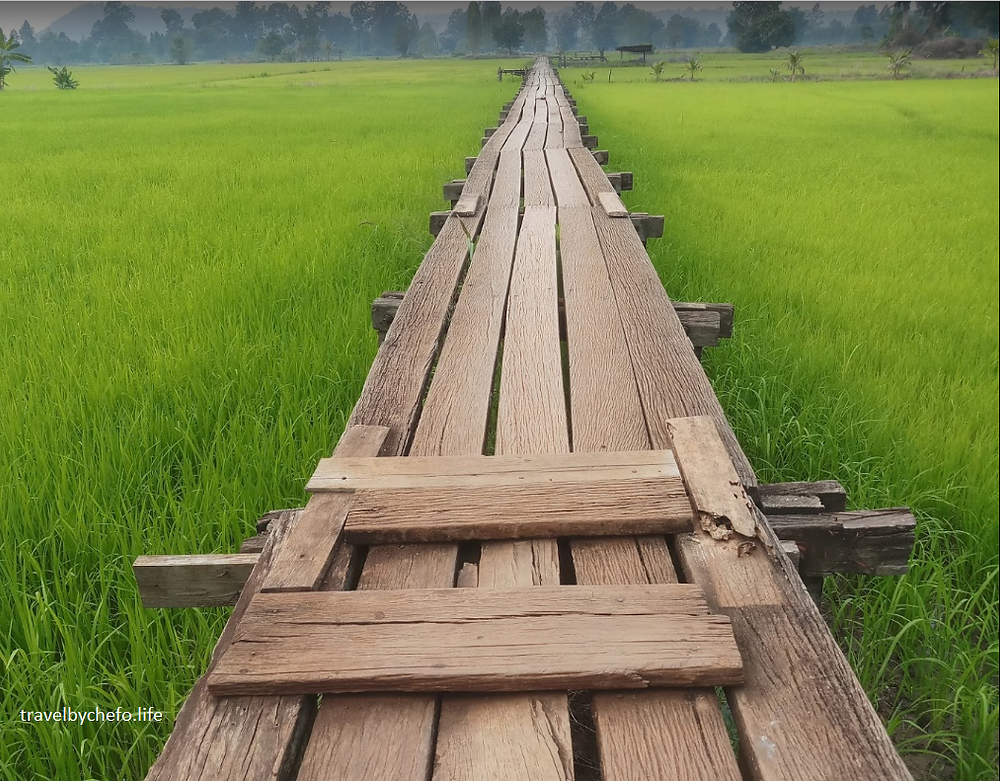 สะพานไม้ 100 ปี