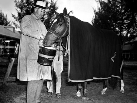 10 Facts about Whirlaway