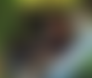 CONSEJOS PARA AMONESTAR CONSTRUCTIVAMENTE