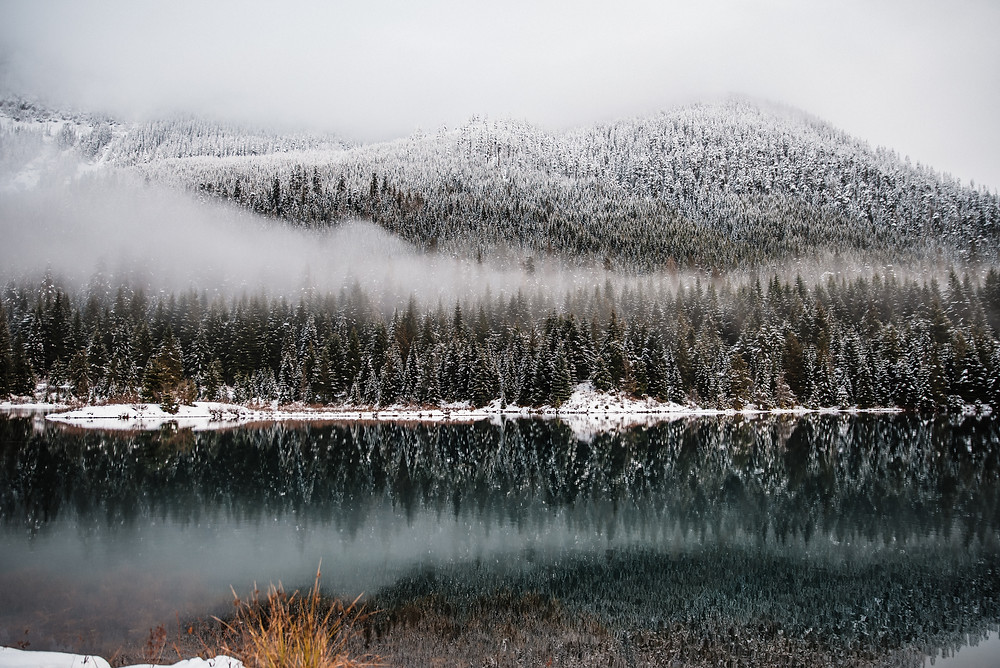 Gold Creek Pond during the winter