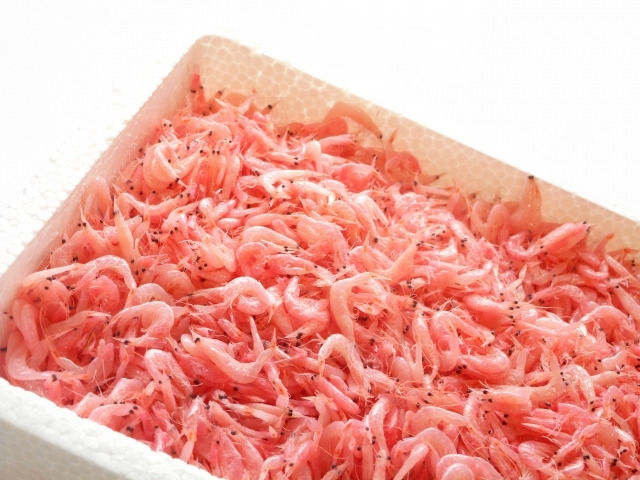 ree