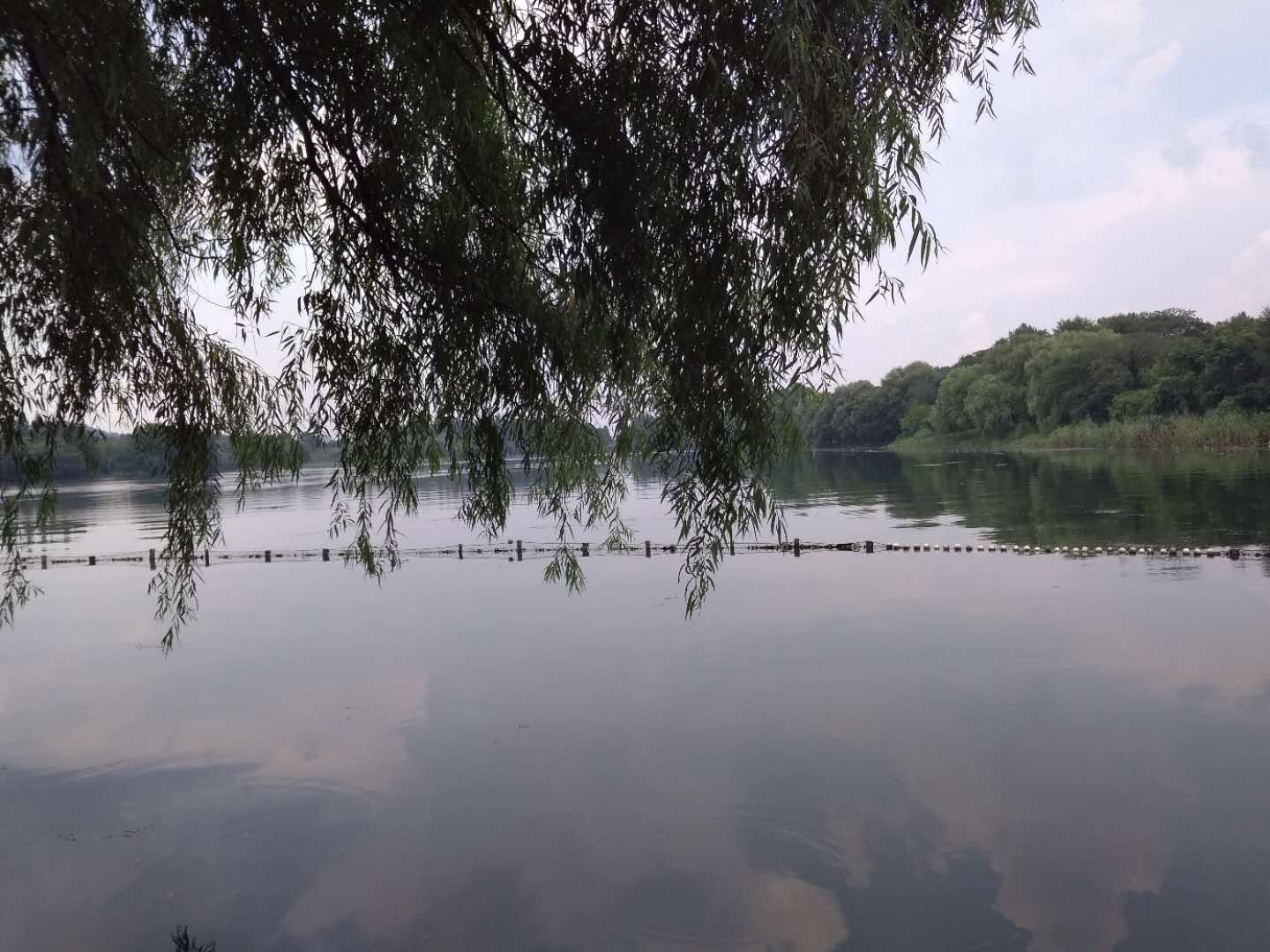 Shanghai Tour Day 1: Hangzhou (Trudy Sun) content media