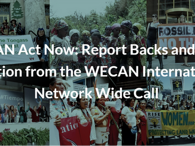 WECAN Act Now: Report Backs and Calls to Action from the WECAN International Network Wide Call