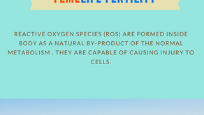 Role of antioxidants in fertility