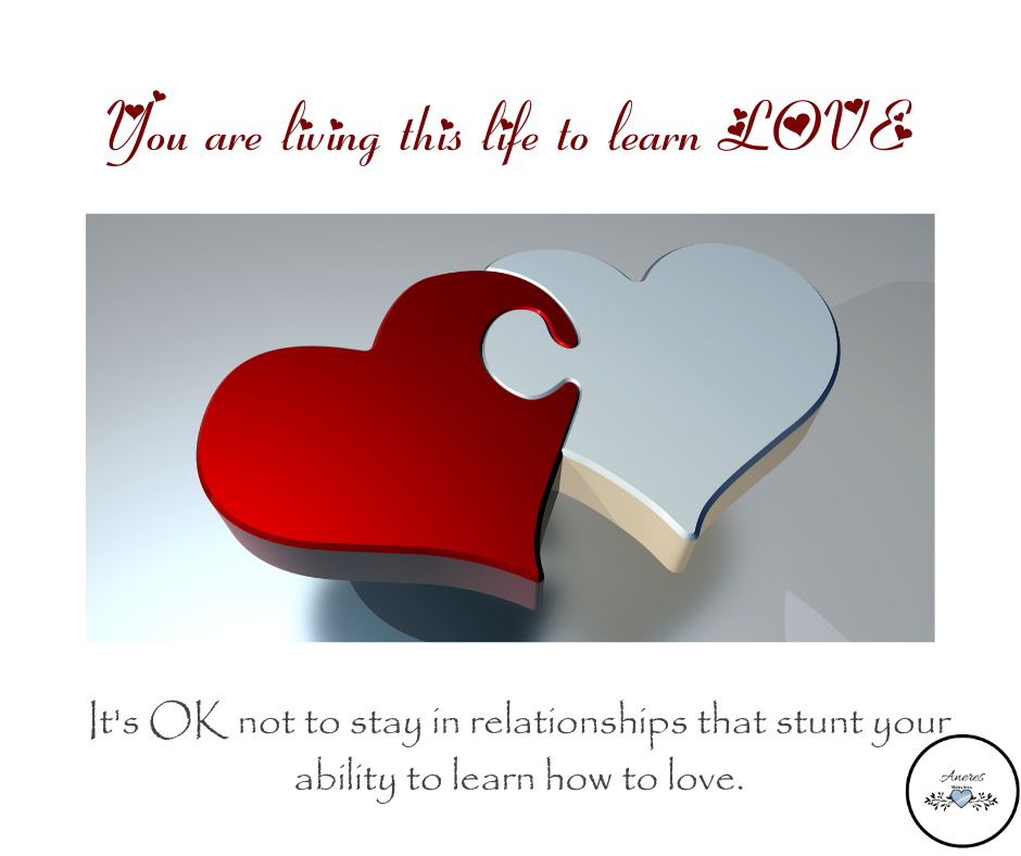 Your Purpose in Life is to Learn Love content media