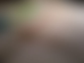 New wings for the G-1 Mk.2