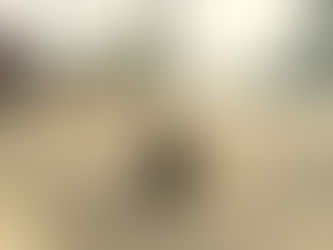 Monkey temple v Chiang Rai