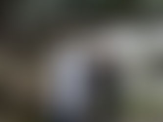 離島から一年。