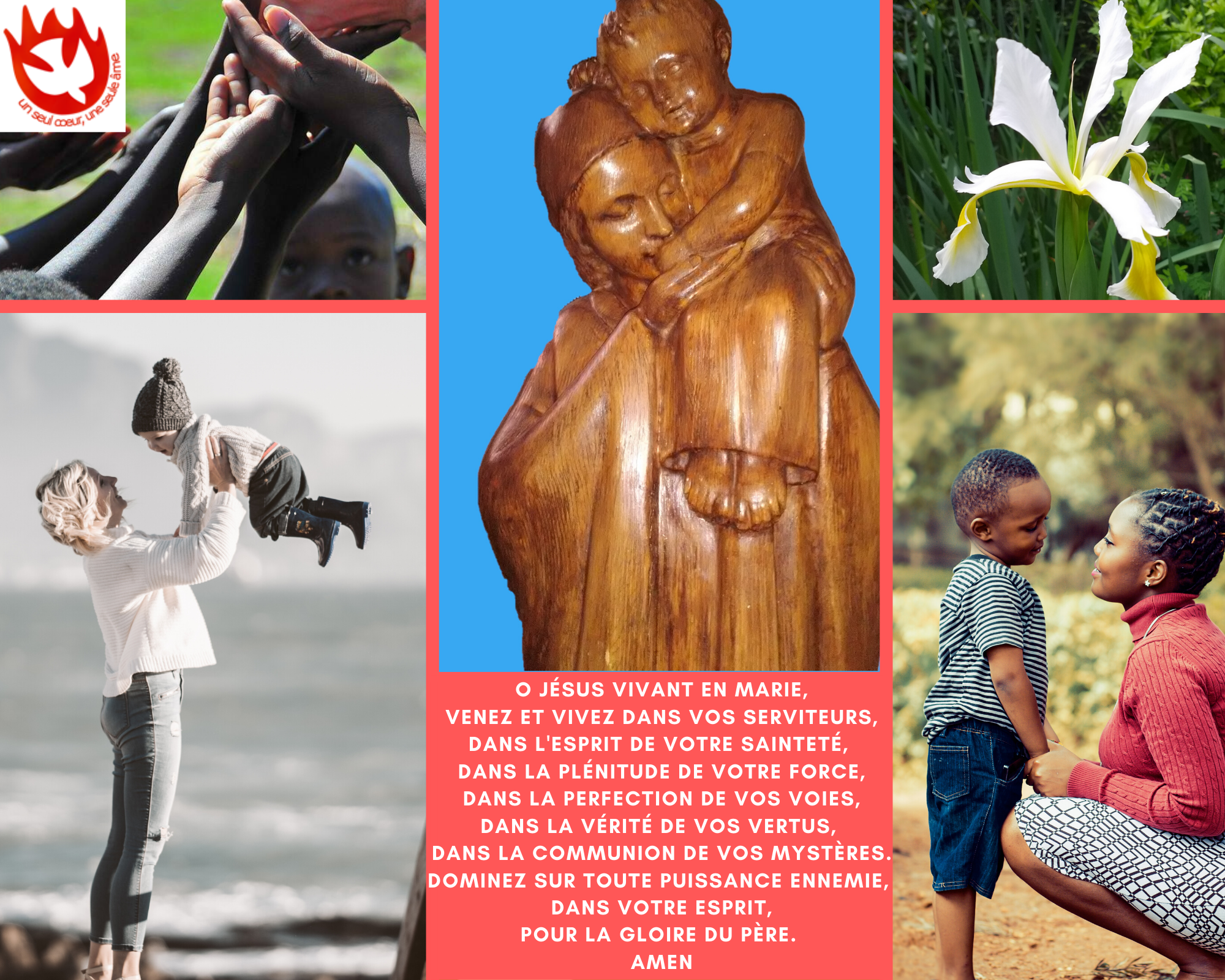 Le chemin de Marie, belle fête de l'Assomption ! content media