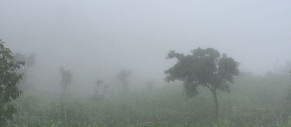 And Then There Were Two