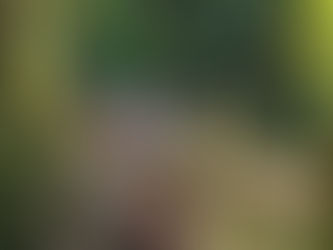 Lower Elementary, September 21-25: birthdays, blooms, and one very long black strip!