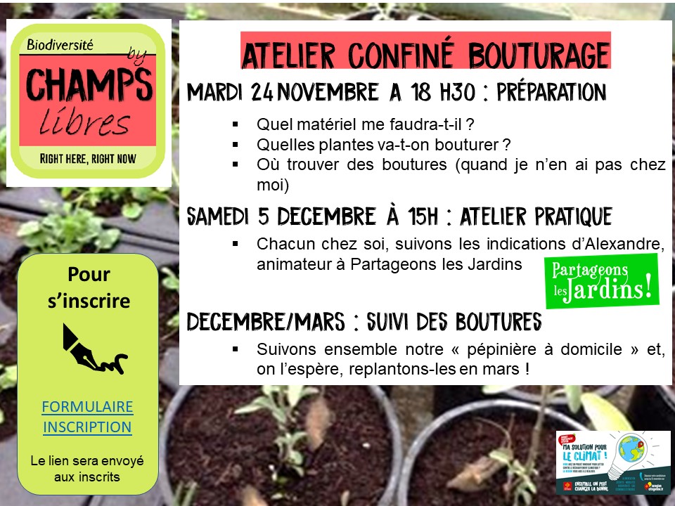 Atelier confiné Bouturage : le 24/11 et le 5/12/2020 content media