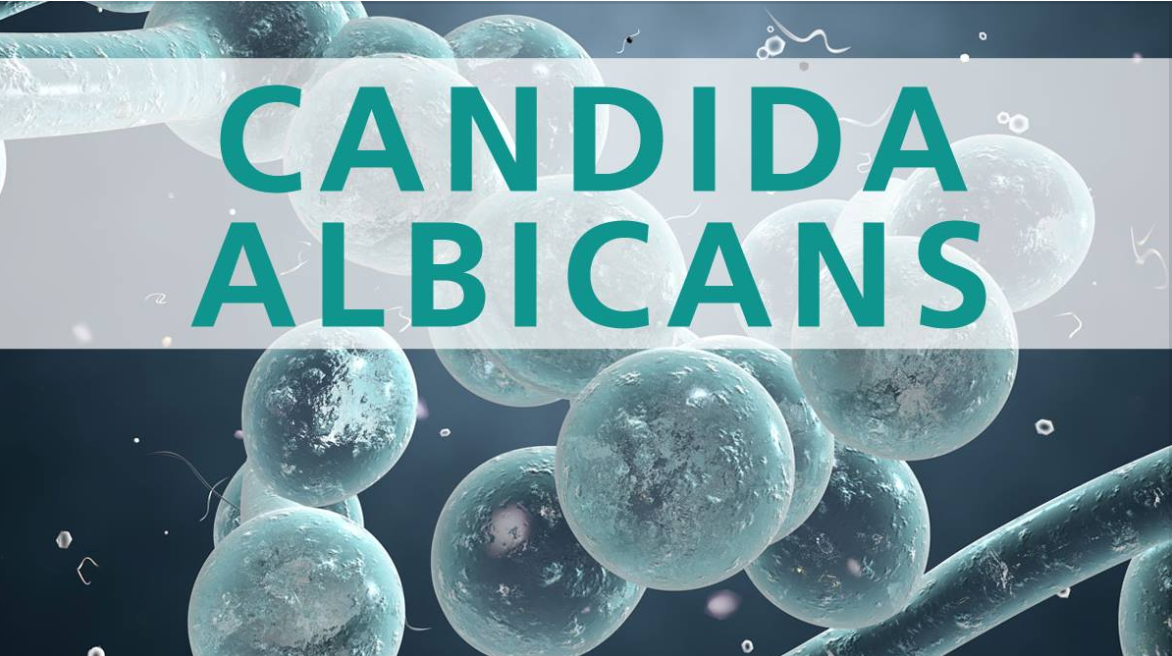 Let's talk Candida.... content media