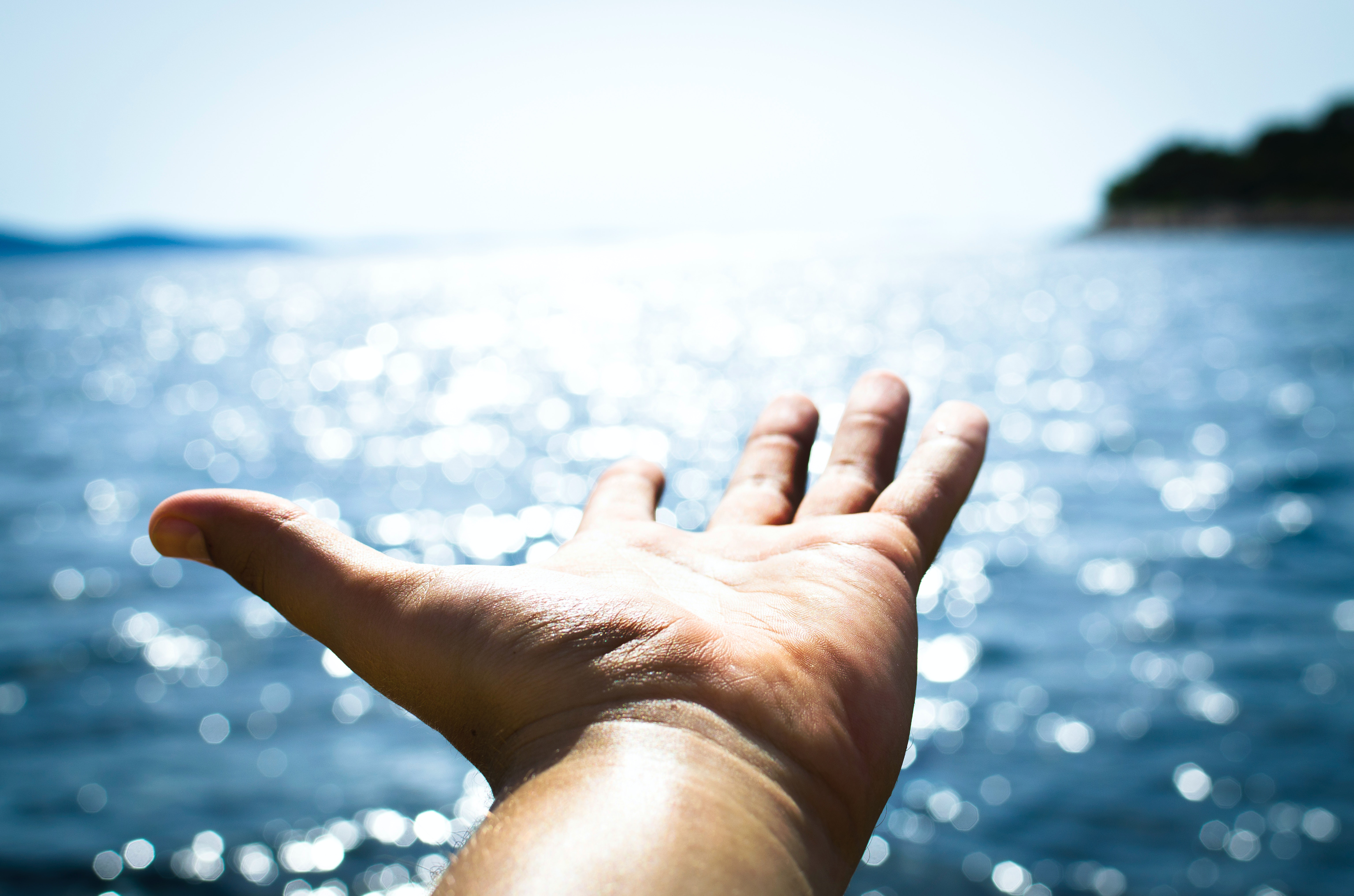 Magic... miraculously existent! content media