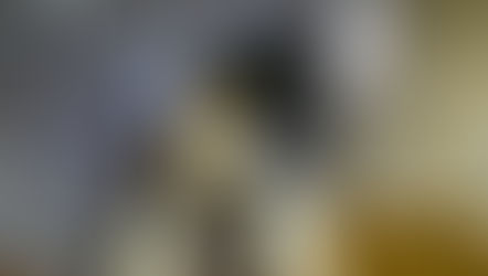 Baixada precisa de Hospital Veterinário Público