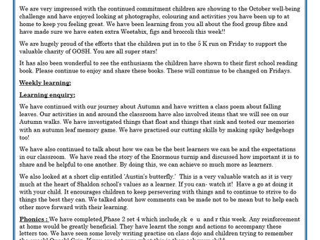 Reception Weekly Letter 16/10/20