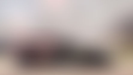 FIA WEC: 1000 Miles of Sebring, Qualifying