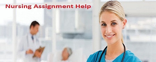 Finding Reliable Nursing Assignment Help content media
