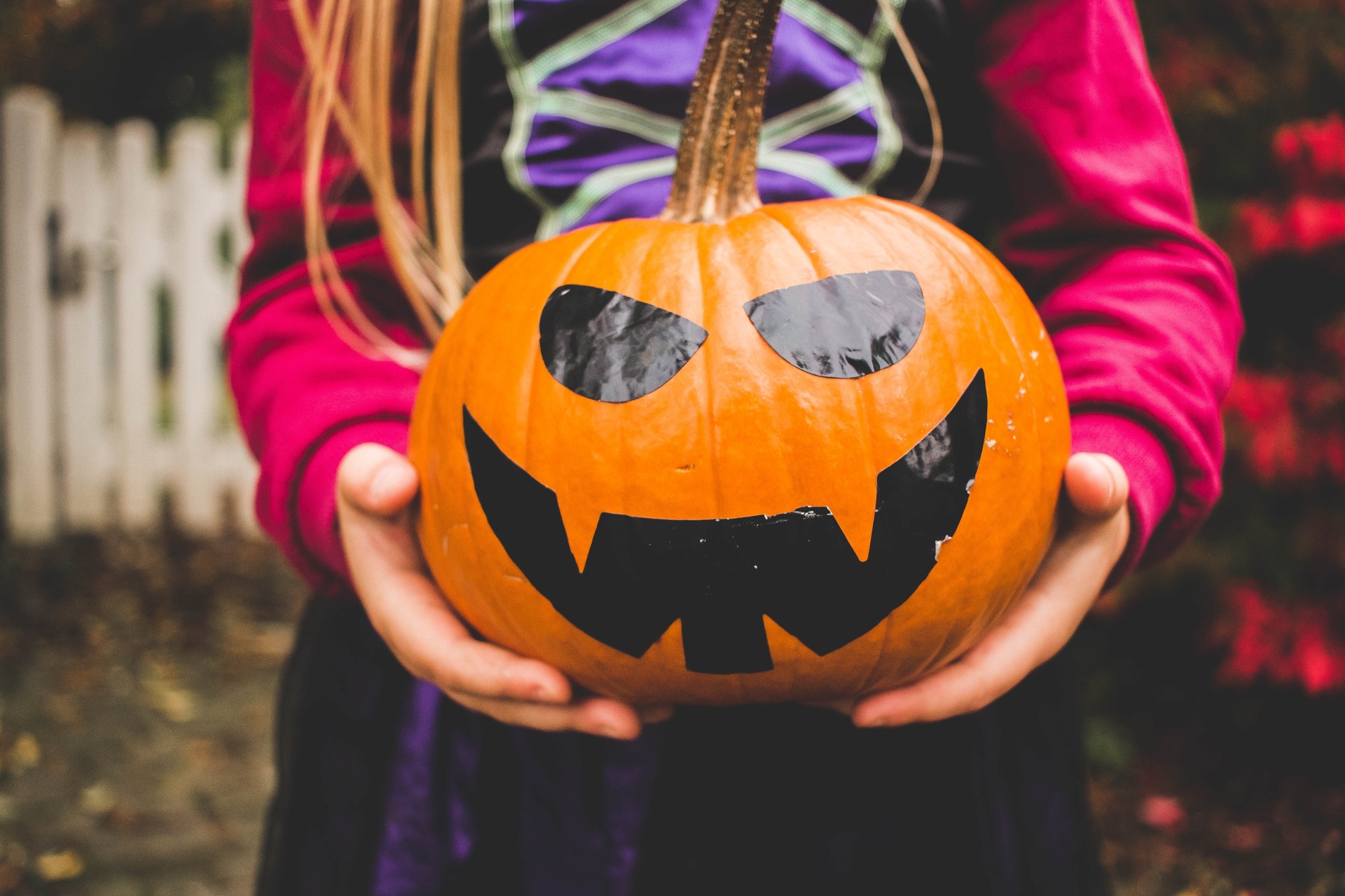 Seasonal workshops for kids content media