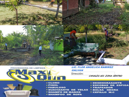 Continúan las acciones de limpieza en espacios públicos.