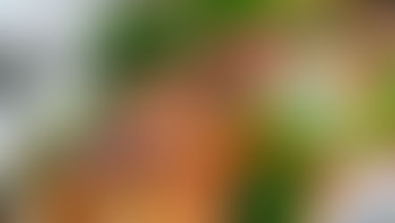 Thai Baked Whole Fish in Garlic-Chili Sauce Recipe