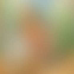 Edgar Scauflaire, Femme nue à Cheval, d'après Interenchères et Artprice