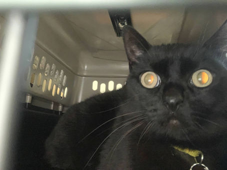 Before you know it...