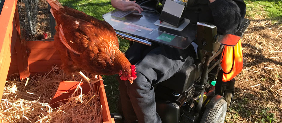 Just hangin with the animals