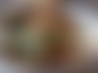 Fish & Bean Open Burritos