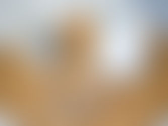 #Ideale Vorbereitung auf das Bewerbungsgespräch