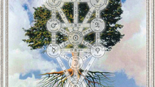 A ÁRVORE CóSMICA - (cabala Sinergética II)