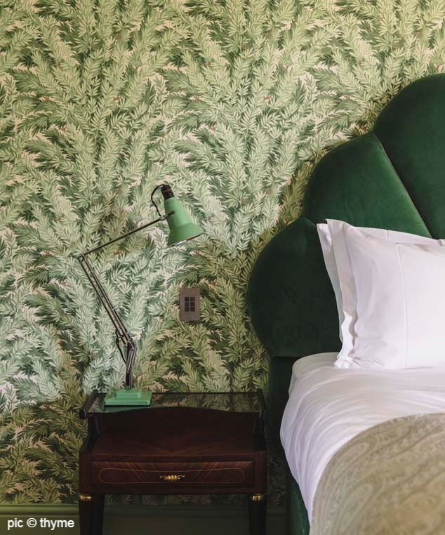 tête de lit et papier peint vert