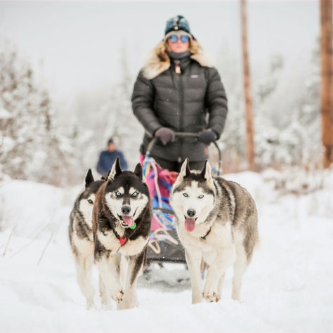 Things to Do in Fairbanks in Winter: Tips From a Local 