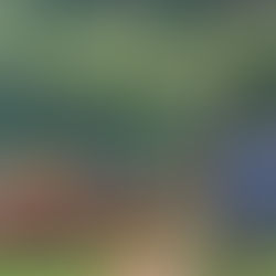 Cross Country: adrenalina sobre duas rodas