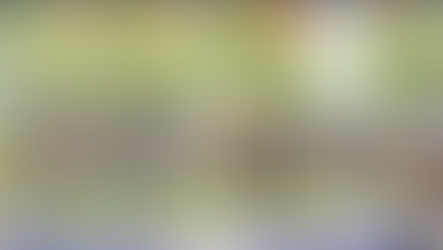 18 Condos Planned for 43-55 Topton Way