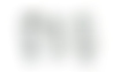 『プチ・ニコラ』(22)