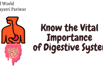 Know the Vital Importance of Digestive System