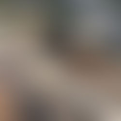 APPALTI  E PASSANTE, DOMANDE E RISPOSTE