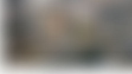 The Morning: Two virus stories- A Very Mixed Picture